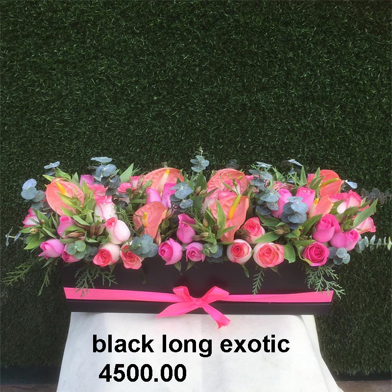 Black Long Exotics Delivery,
Sector 64, Noida,
Monochrome Elegance,
Elegant Black-Themed Gifts,
Unique Gifting Options,
Noida Gift Delivery,
Home Decor Enhancements,
Stylish Living Space,
Thoughtful Monochrome Gifts,
Same-Day Gift Delivery