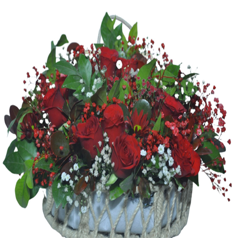Basket arrangement flower delivery,
Elegant floral baskets,
Sector 111, Noida,
Fresh flower basket gifts,
Floral arrangement delivery,
Online florist Noida,
Special occasion flowers,
Florist in Sector 111,
Floral gifts online,
Same-day flower delivery