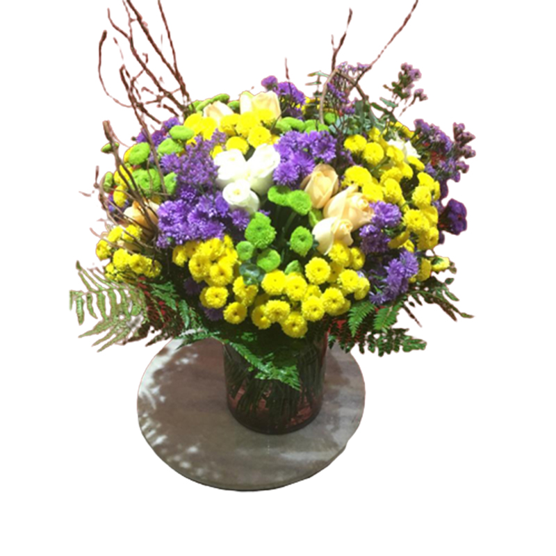 House of Blossoms delivery Sector 27, Noida,
Fresh flower delivery Noida,
Vibrant floral arrangements,
Illuminate lives with flowers,
Premium blooms Noida,
Noida flower shop,
Thoughtful floral gifts,
Blossom delivery in Noida,
Flower bouquet delivery,
Exotic orchids Noida
