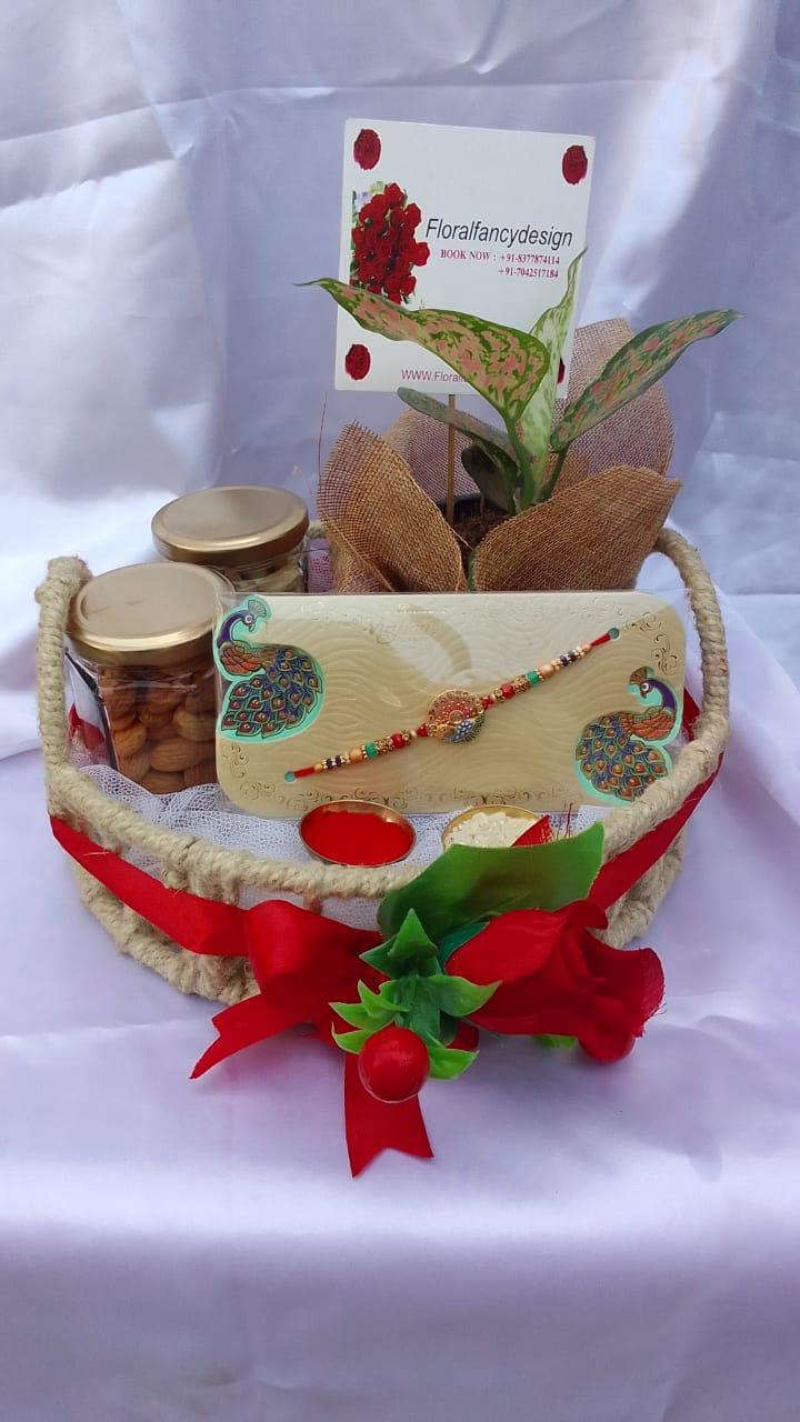 Wholesome Treats Rakhi Hamper Delivery,
Sector 42, Noida,
Sibling Bond Celebration,
Delicious Rakhi Gifts,
Rakhi Special Deliveries,
Noida Gift Delivery,
Rakhi Festival Hampers,
Expressing Sibling Affection,
Rakhi Gifts Online,
Same-Day Rakhi Delivery