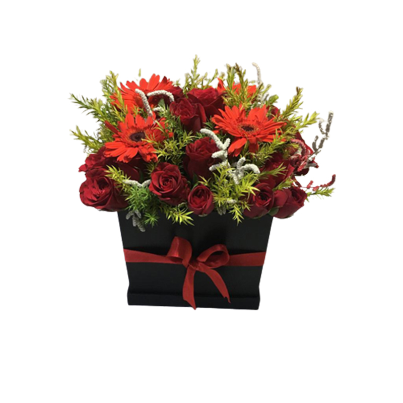 Black Cube Gerbera,
Flower Delivery,
Sector 39,
Noida,
Gerbera Daisies,
Floral Arrangements,
Special Occasion,
Love and Gratitude,
Premium Flower Delivery,
Bouquet Gifting